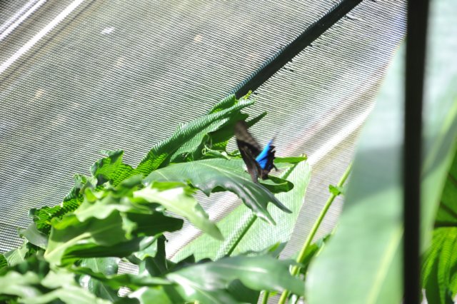 d120829k_0340.jpg