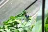 d120829k_0340_small.jpg