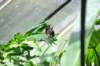 d120829k_0341_small.jpg