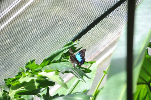 d120829k_0343.jpg