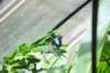 d120829k_0343_small.jpg