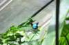 d120829k_0344_small.jpg