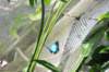 d120829k_0345_small.jpg