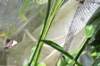 d120829k_0350_small.jpg