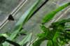 d120829k_0367_small.jpg