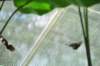d120829k_0372_small.jpg