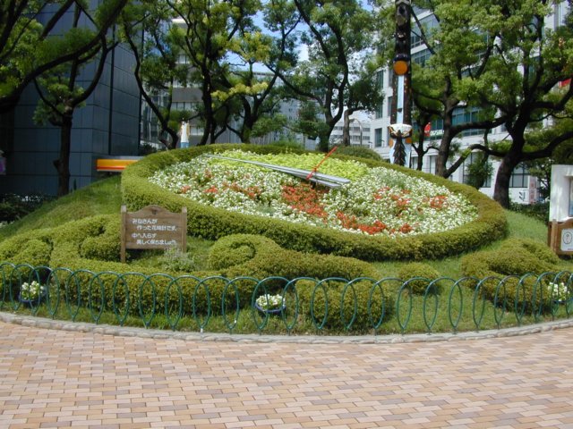 Photograph