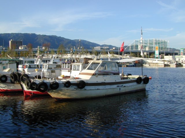 Photograph