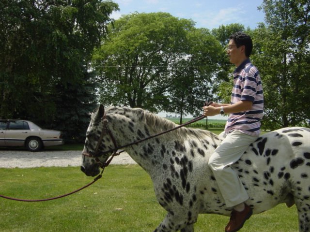 Photograph