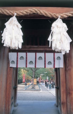 b09.jpg