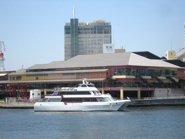 c44.jpg
