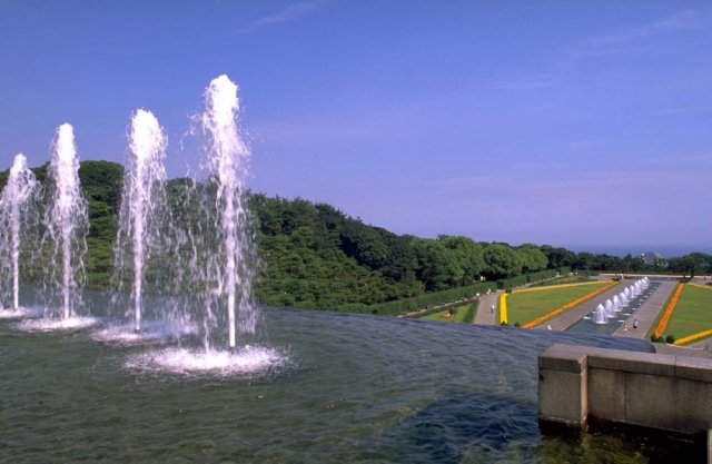 h03.jpg