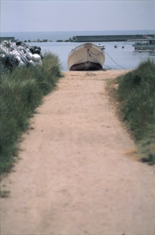 l05.jpg