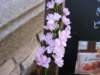Photo Number 13