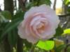 img_2481_small.jpg