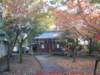 dscf0007_small.jpg