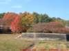 dscf0027_small.jpg