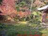 dscf0030_small.jpg