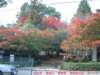 dscf0055_small.jpg