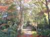 dscf0062_small.jpg