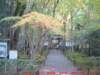 dscf0065_small.jpg
