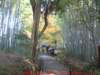 dscf0067_small.jpg