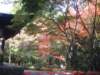 dscf0073_small.jpg
