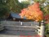 dscf0074_small.jpg