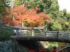 dscf0075_small.jpg