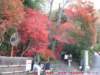 dscf0078_small.jpg