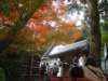 dscf0079_small.jpg