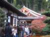 dscf0080_small.jpg