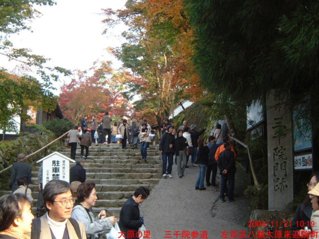 dscf0102.jpg