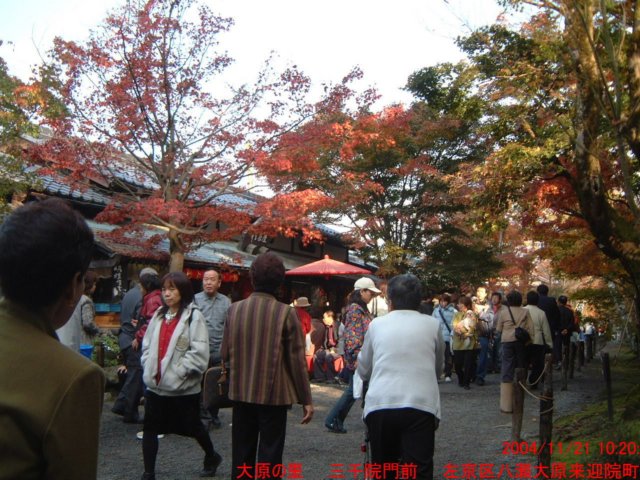 dscf0103.jpg