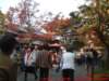 dscf0103_small.jpg