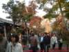 dscf0104_small.jpg