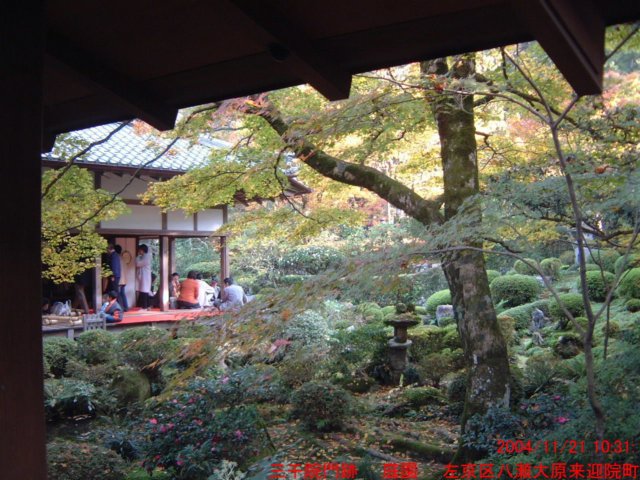 dscf0110.jpg