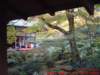 dscf0110_small.jpg