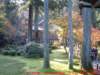 dscf0113_small.jpg