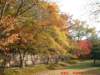 dscf0114_small.jpg