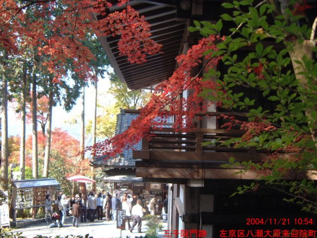 dscf0119.jpg