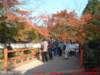 dscf0120_small.jpg