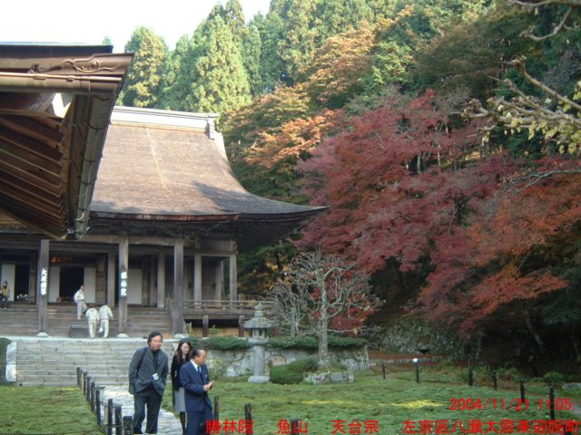 dscf0124.jpg