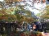 dscf0128_small.jpg