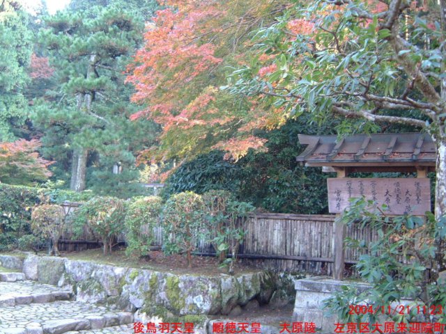 dscf0130.jpg