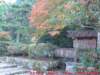 dscf0130_small.jpg
