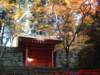 dscf0131_small.jpg