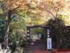 dscf0138_small.jpg