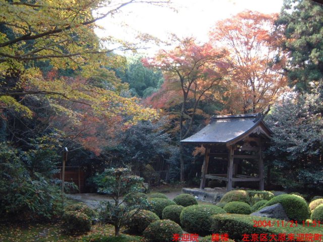 dscf0141.jpg
