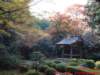dscf0141_small.jpg